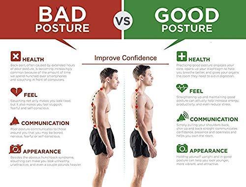 The Indian Posture Support V2