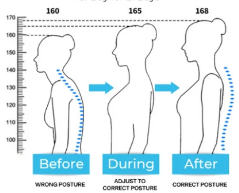 The Indian Posture Support V2